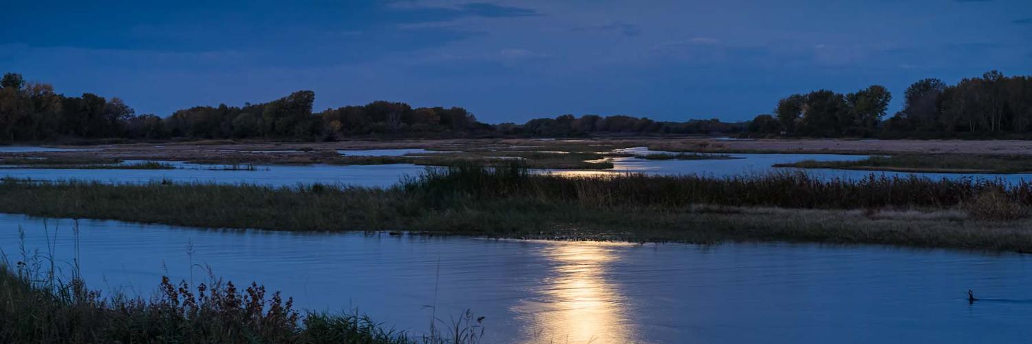 moonlight in the night